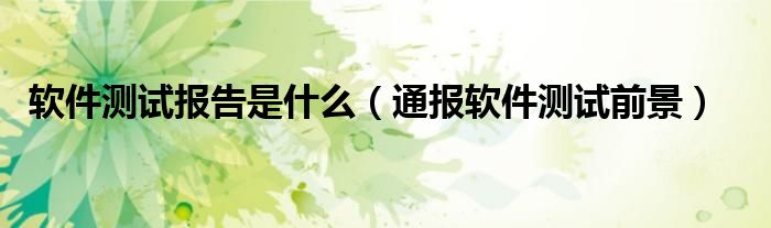软件测试报告是什么(通报软件测试前景)