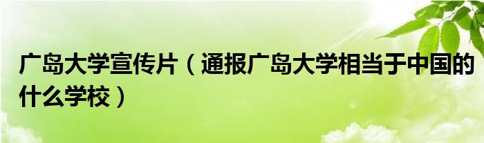 广岛大学宣传片(通报广岛大学相当于中国的什么学校)
