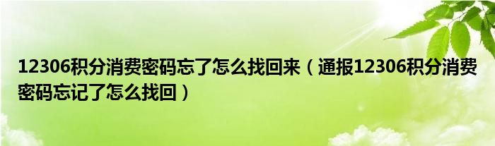 12306积分消费密码忘了怎么找回来(通报12306积分消费密码忘记了怎么找回)
