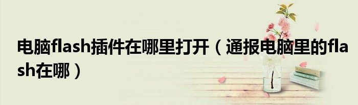 电脑flash插件在哪里打开(通报电脑里的flash在哪)