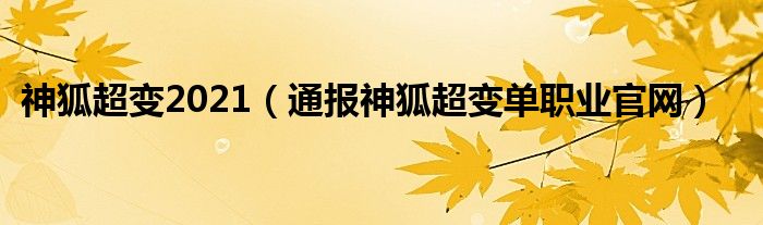 神狐超变2021(通报神狐超变单职业官网)