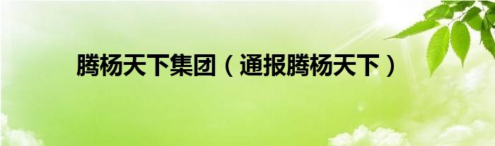 腾杨天下集团(通报腾杨天下)