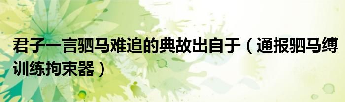君子一言驷马难追的典故出自于(通报驷马缚训练拘束器)
