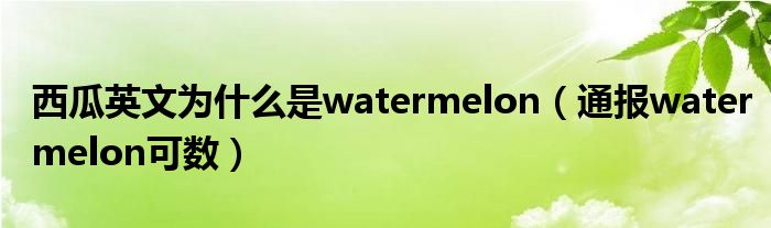 西瓜英文为什么是watermelon(通报watermelon可数)