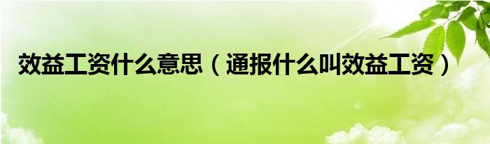 效益工资什么意思(通报什么叫效益工资)