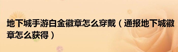 地下城手游白金徽章怎么穿戴(通报地下城徽章怎么获得)