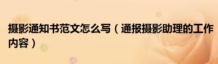 摄影通知书范文怎么写(通报摄影助理的工作内容)