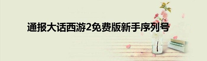 通报大话西游2免费版新手序列号