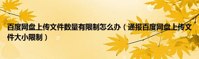 百度网盘上传文件数量有限制怎么办(通报百度网盘上传文件大小限制)