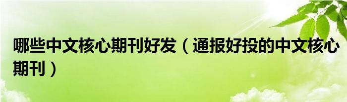 哪些中文核心期刊好发(通报好投的中文核心期刊)