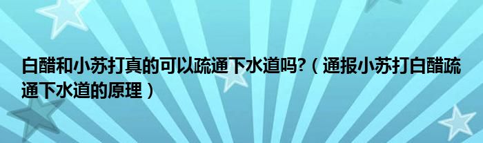 白醋和小苏打真的可以疏通下水道吗?(通报小苏打白醋疏通下水道的原理)