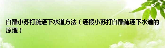 白醋小苏打疏通下水道方法(通报小苏打白醋疏通下水道的原理)
