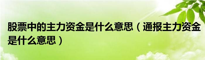 股票中的主力资金是什么意思（通报主力资金是什么意思）