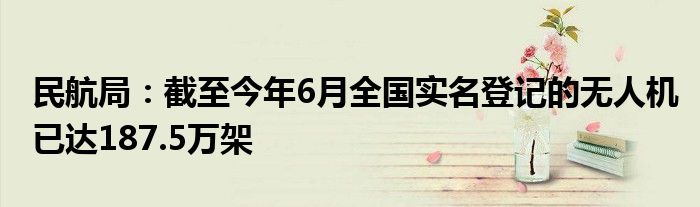 民航局:截至今年6月全国实名登记的无人机已达187.5万架