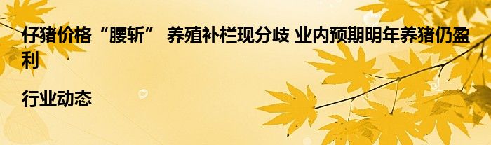 仔猪价格“腰斩” 养殖补栏现分歧 业内预期明年养猪仍盈利|行业动态