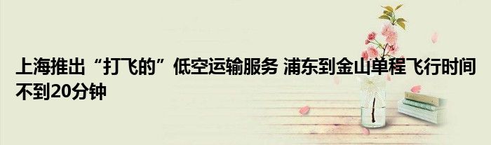 上海推出“打飞的”低空运输服务 浦东到金山单程飞行时间不到20分钟