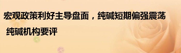 宏观政策利好主导盘面,纯碱短期偏强震荡 | 纯碱机构要评