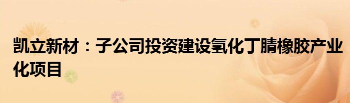 凯立新材:子公司投资建设氢化丁腈橡胶产业化项目