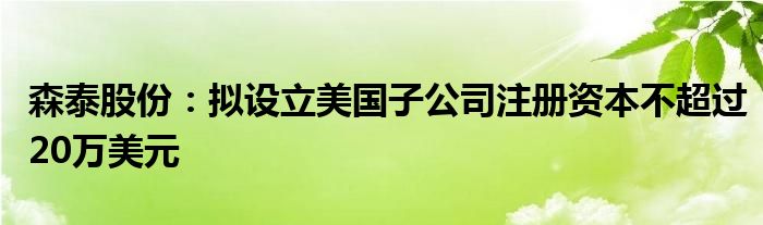森泰股份:拟设立美国子公司注册资本不超过20万美元