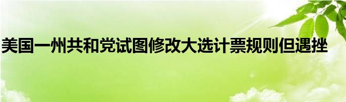 美国一州共和党试图修改大选计票规则但遇挫