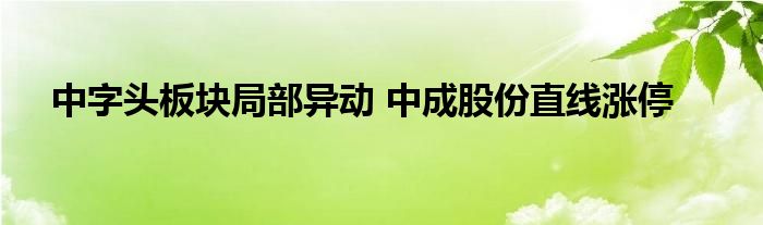 中字头板块局部异动 中成股份直线涨停