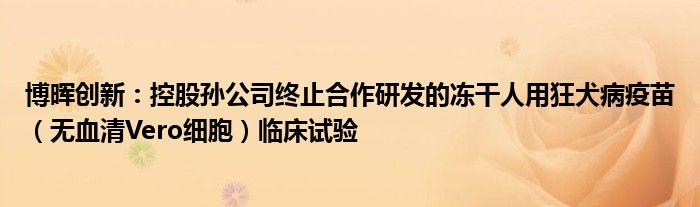 博晖创新:控股孙公司终止合作研发的冻干人用狂犬病疫苗(无血清Vero细胞)临床试验
