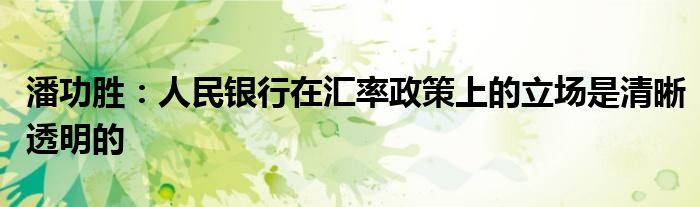 潘功胜:人民银行在汇率政策上的立场是清晰透明的
