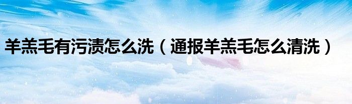 羊羔毛有污渍怎么洗(通报羊羔毛怎么清洗)