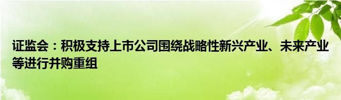 证监会:积极支持上市公司围绕战略性新兴产业、未来产业等进行并购重组