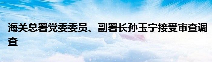 海关总署党委委员、副署长孙玉宁接受审查调查