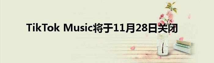 TikTok Music将于11月28日关闭