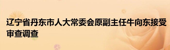 辽宁省丹东市人大常委会原副主任牛向东接受审查调查