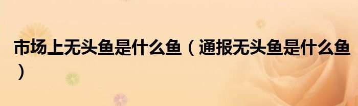 市场上无头鱼是什么鱼(通报无头鱼是什么鱼)