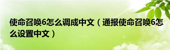 使命召唤6怎么调成中文(通报使命召唤6怎么设置中文)