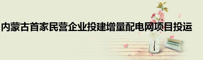 内蒙古首家民营企业投建增量配电网项目投运