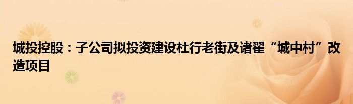 城投控股:子公司拟投资建设杜行老街及诸翟“城中村”改造项目