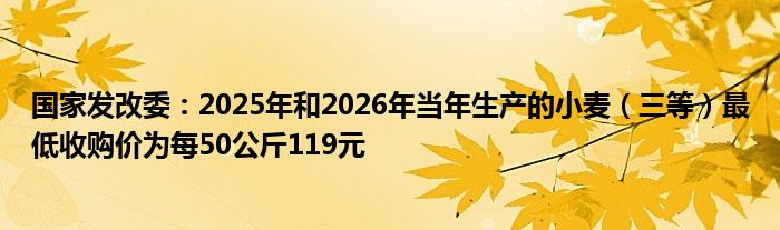 国家发改委:2025年和2026年当年生产的小麦(三等)最低收购价为每50公斤119元