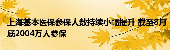 上海基本医保参保人数持续小幅提升 截至8月底2004万人参保