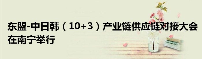 东盟-中日韩(10+3)产业链供应链对接大会在南宁举行