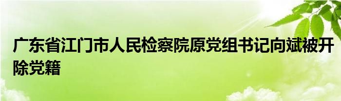 广东省江门市人民检察院原党组书记向斌被开除党籍