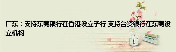 广东:支持东莞银行在香港设立子行 支持台资银行在东莞设立机构