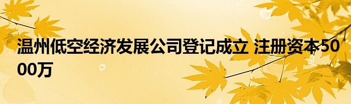 温州低空经济发展公司登记成立 注册资本5000万