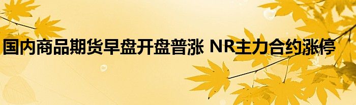 国内商品期货早盘开盘普涨 NR主力合约涨停