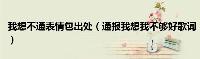 我想不通表情包出处(通报我想我不够好歌词)