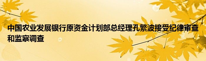 中国农业发展银行原资金计划部总经理孔繁波接受纪律审查和监察调查
