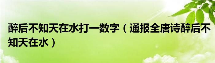 醉后不知天在水打一数字(通报全唐诗醉后不知天在水)