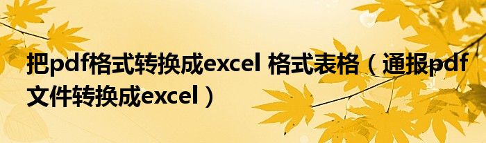 把pdf格式转换成excel 格式表格(通报pdf文件转换成excel)