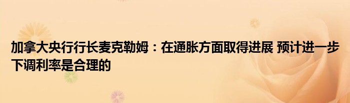 加拿大央行行长麦克勒姆:在通胀方面取得进展 预计进一步下调利率是合理的