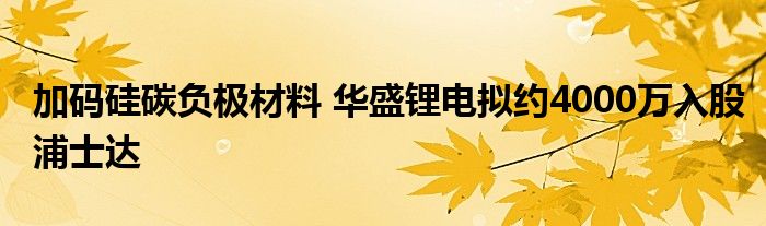 加码硅碳负极材料 华盛锂电拟约4000万入股浦士达