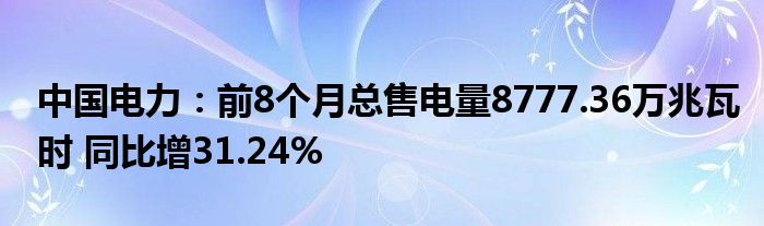 中国电力:前8个月总售电量8777.36万兆瓦时 同比增31.24%